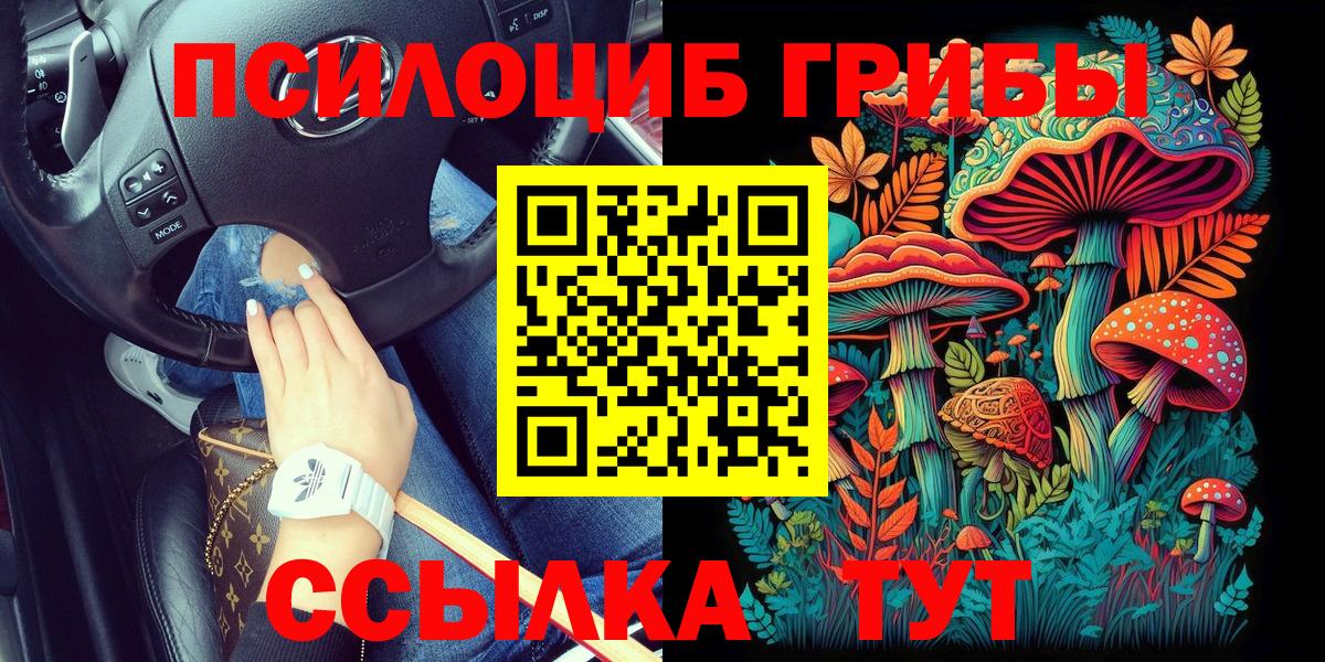 Галлюциногенные грибы Cubensis Сибай